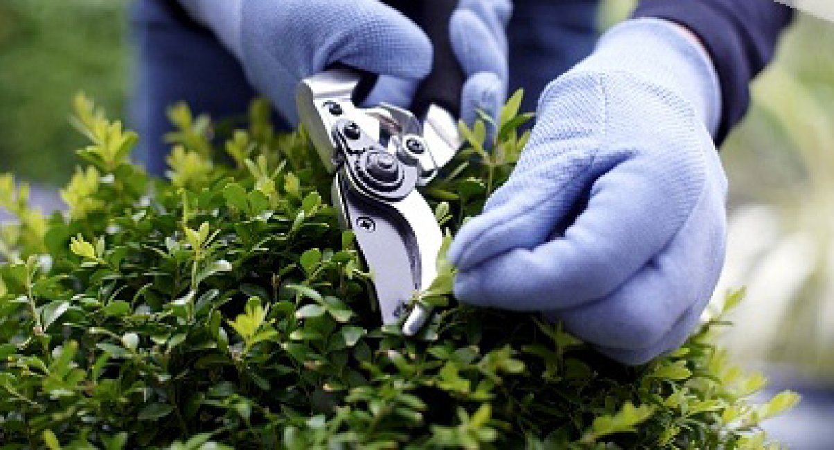 peyzaj-ve-bahce peyzaj-ve-bahce